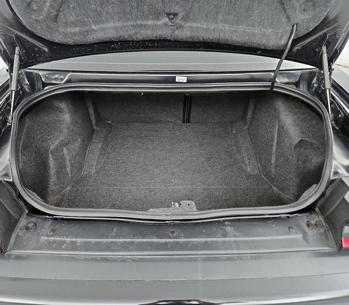 Trunk/Cargo (Seats Up)