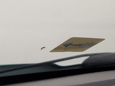 Windshield - Passenger Front Cosmetic Imperfection
