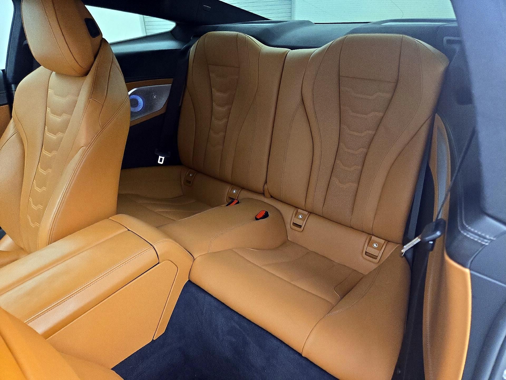 Thumbnail: 2019 BMW 8 Series - 20