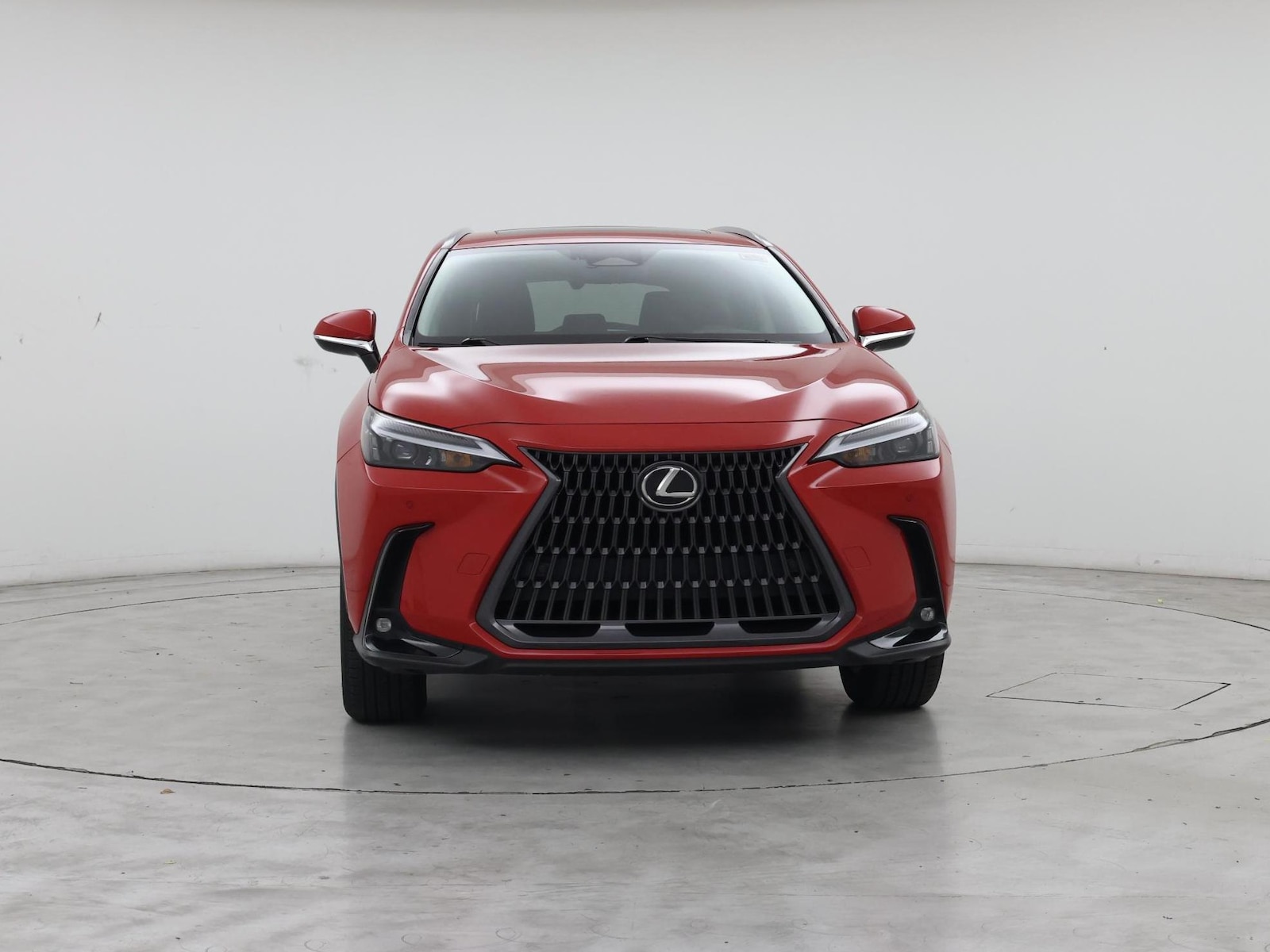 2023 Lexus NX 350 - Photo 6