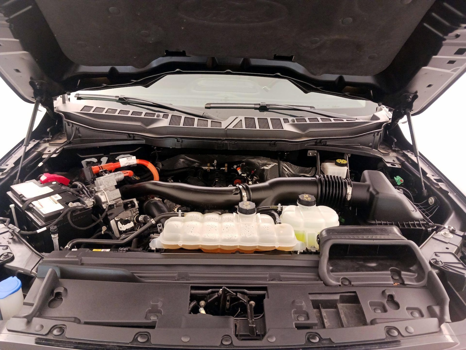 2024 Ford F-150 XLT - Photo 22