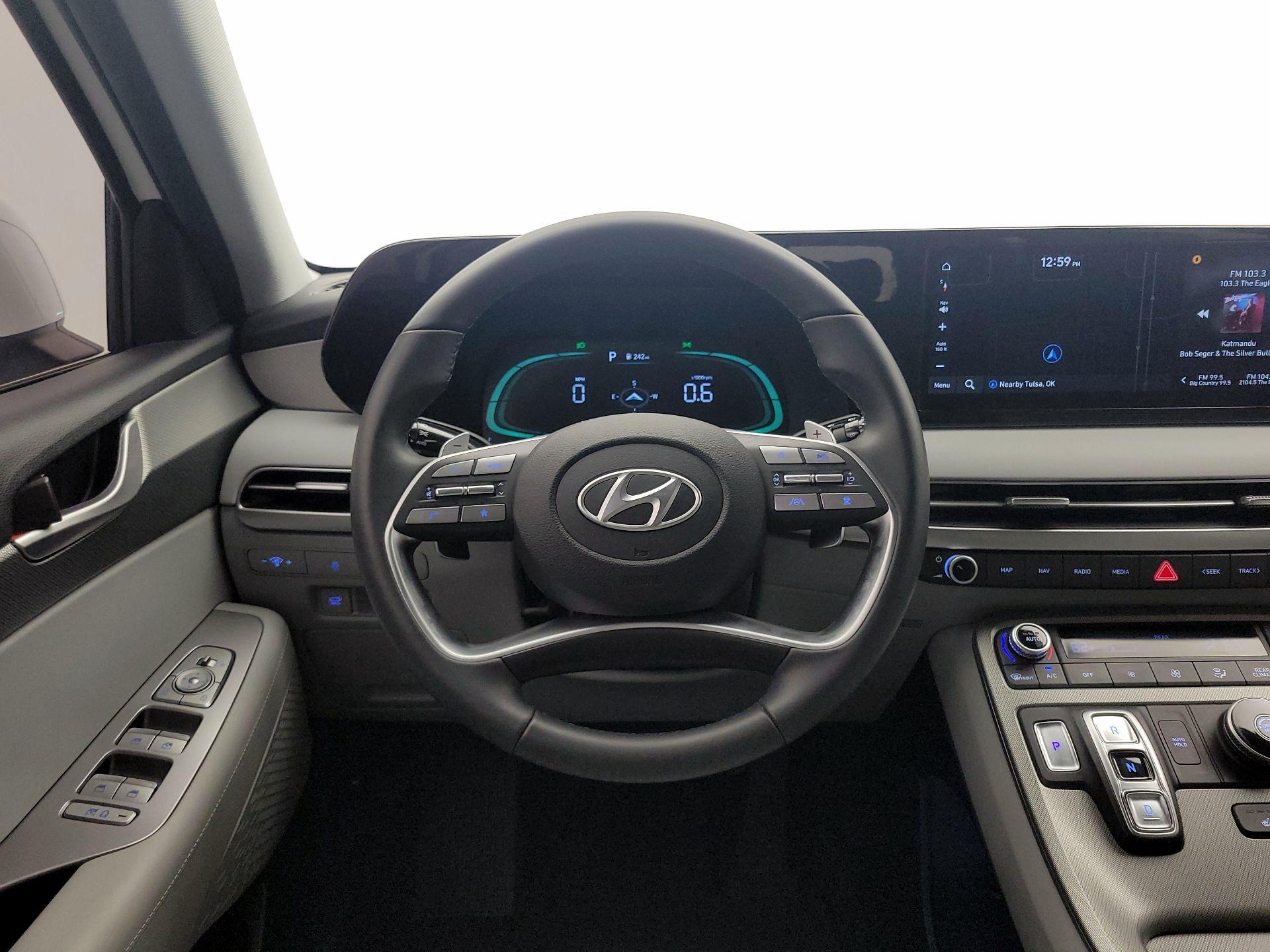 Thumbnail: 2025 Hyundai Palisade - 10