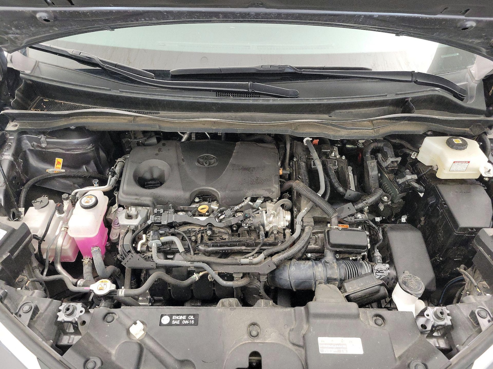 2025 Toyota Sienna LE - Photo 24