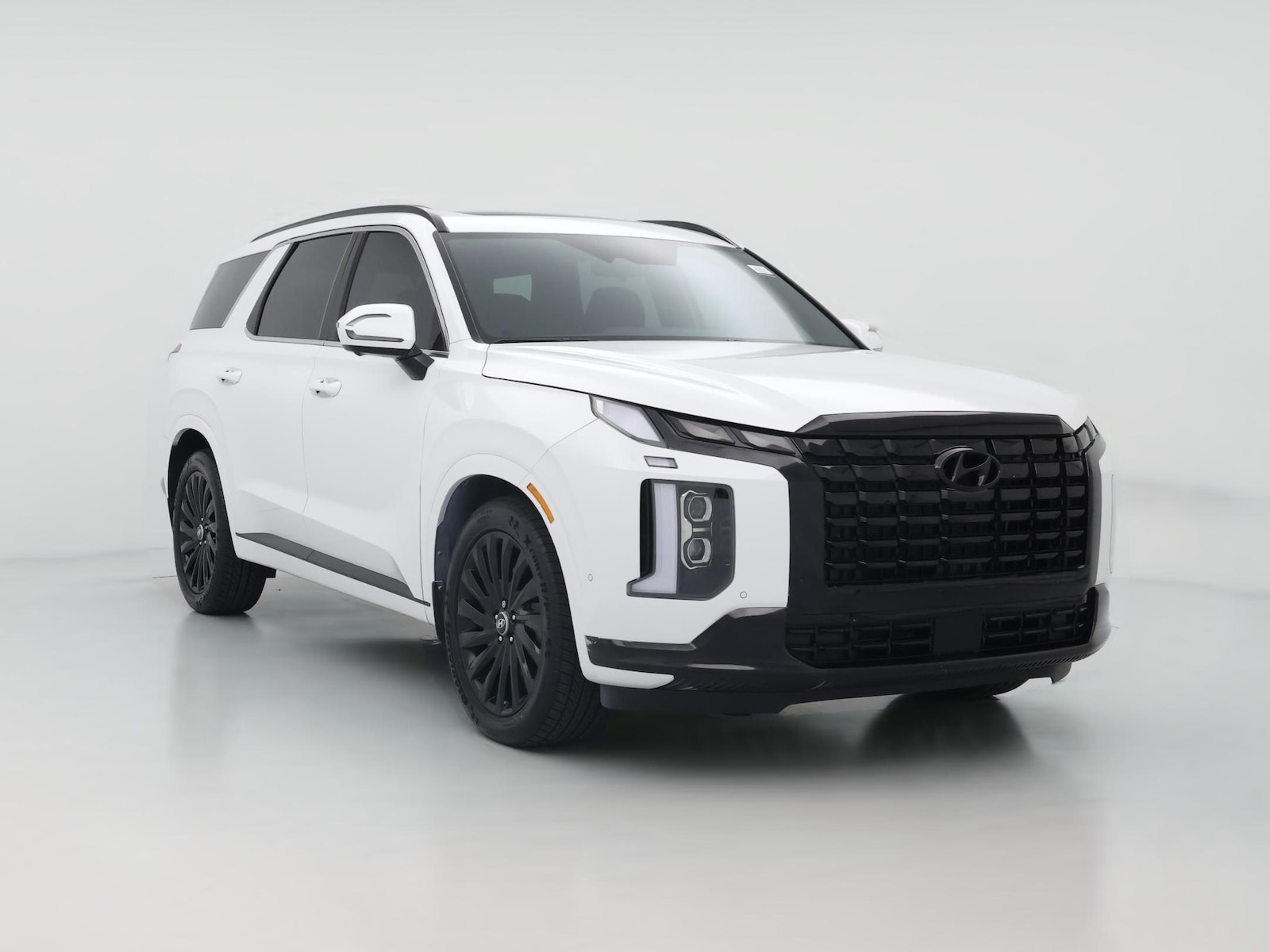 2025 Hyundai Palisade Calligraphy Night Edition - Photo 1