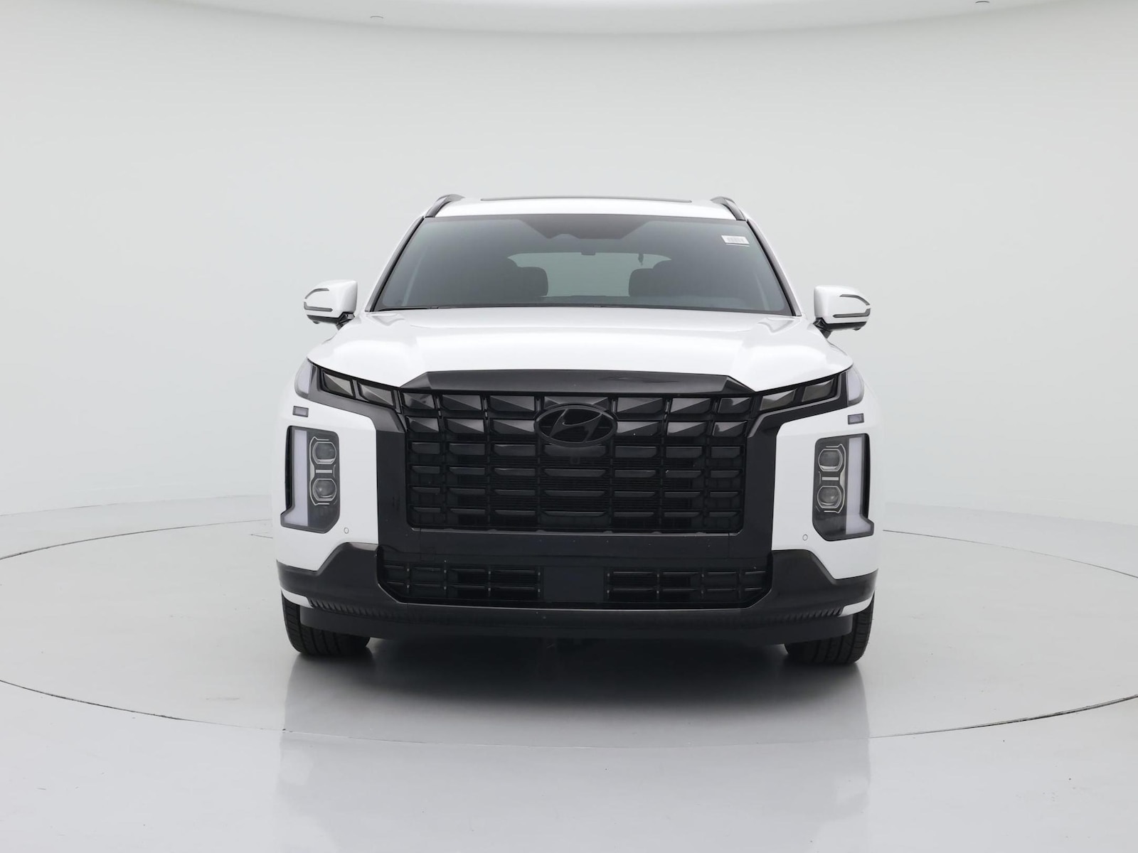 2025 Hyundai Palisade Calligraphy Night Edition - Photo 6
