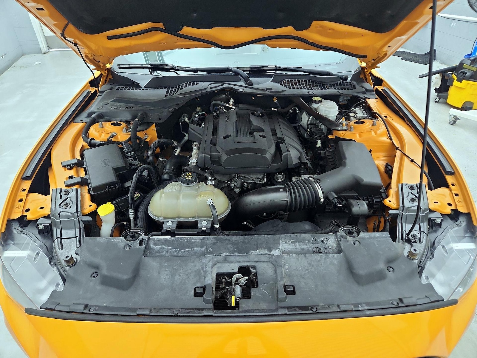2019 Ford Mustang EcoBoost Premium - Photo 21