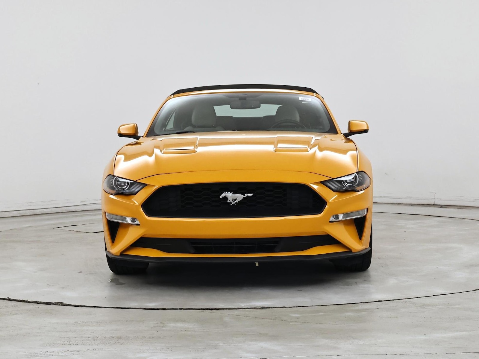 2019 Ford Mustang EcoBoost Premium - Photo 6