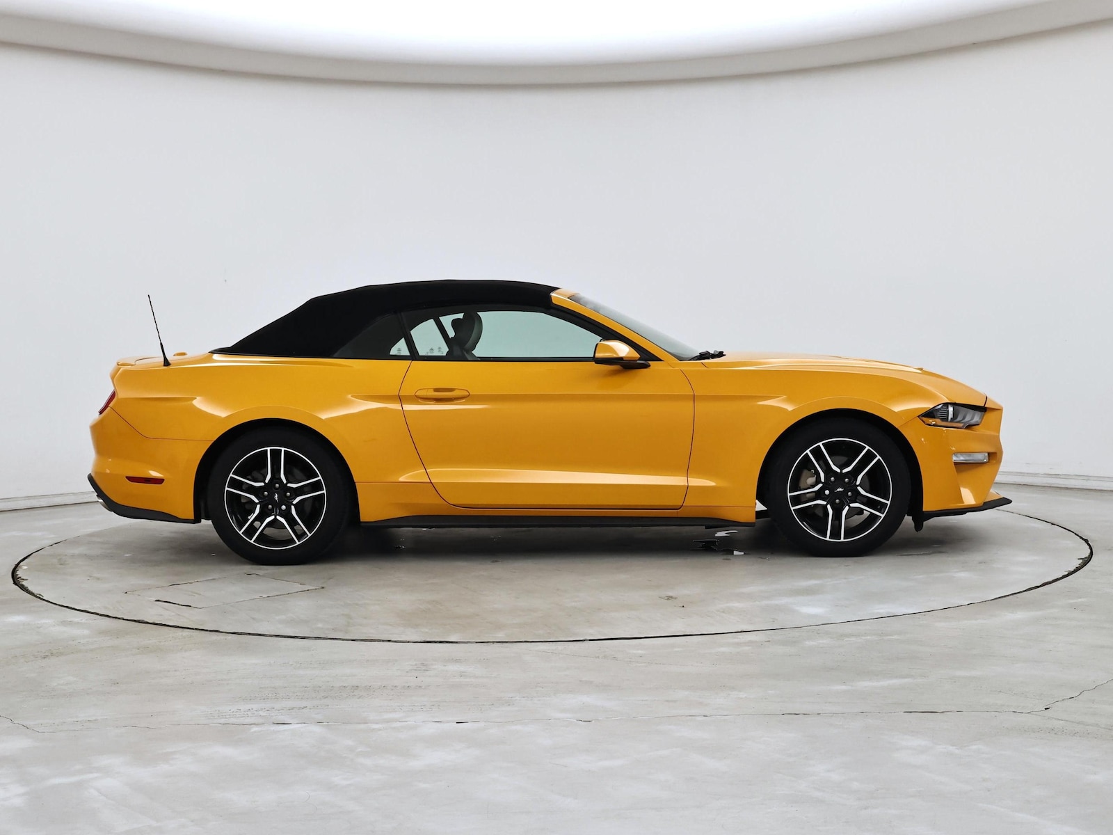 2019 Ford Mustang EcoBoost Premium - Photo 8