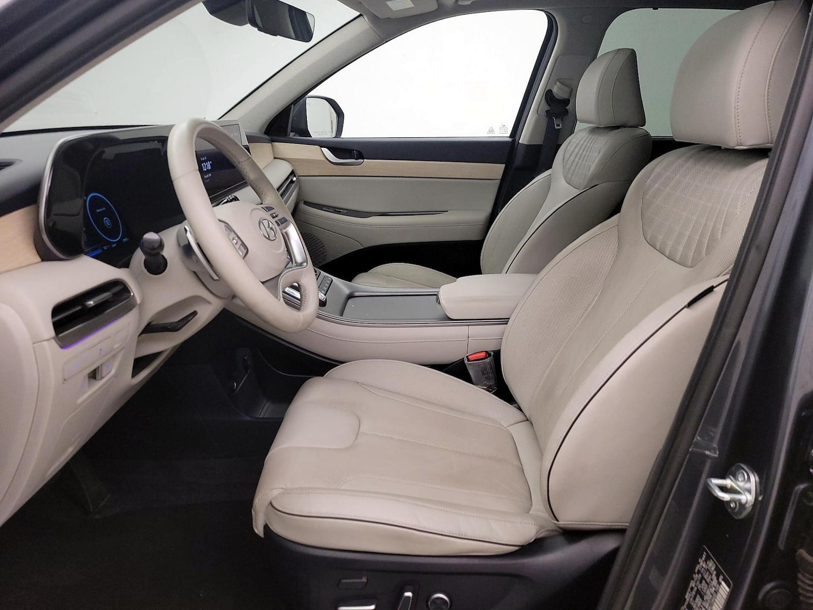 2024 Hyundai Palisade Limited - Photo 10