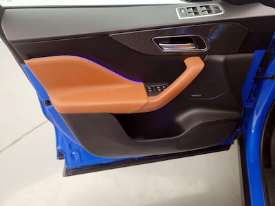 Driver Door Panel