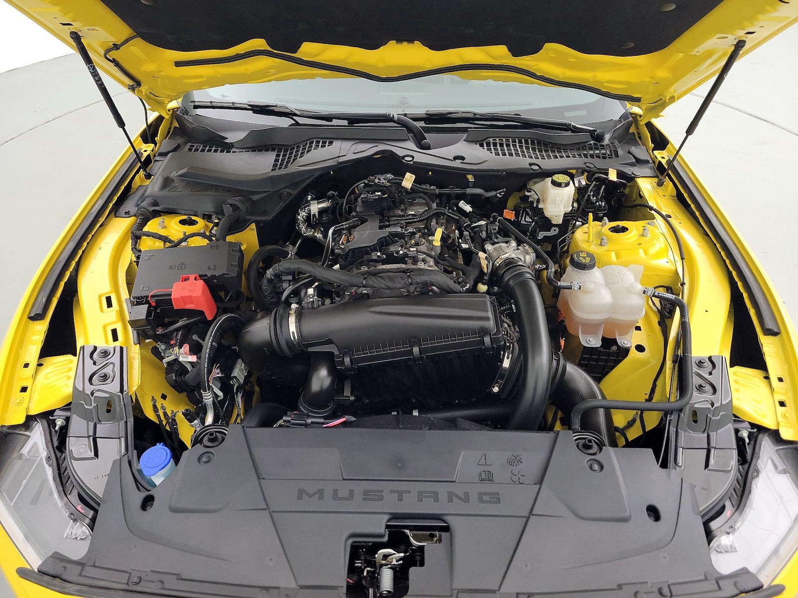 2024 Ford Mustang EcoBoost - Photo 22
