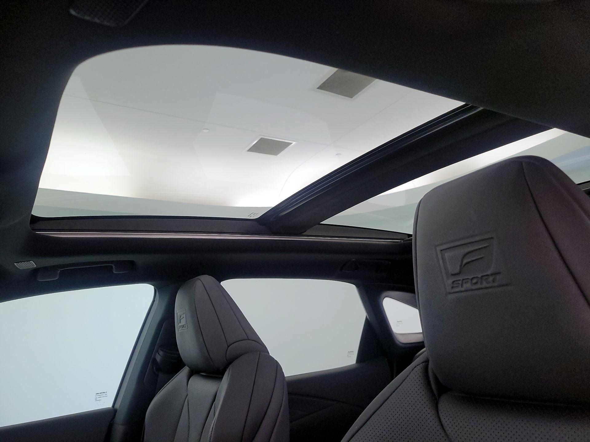 Thumbnail: 2024 Lexus RX - 20