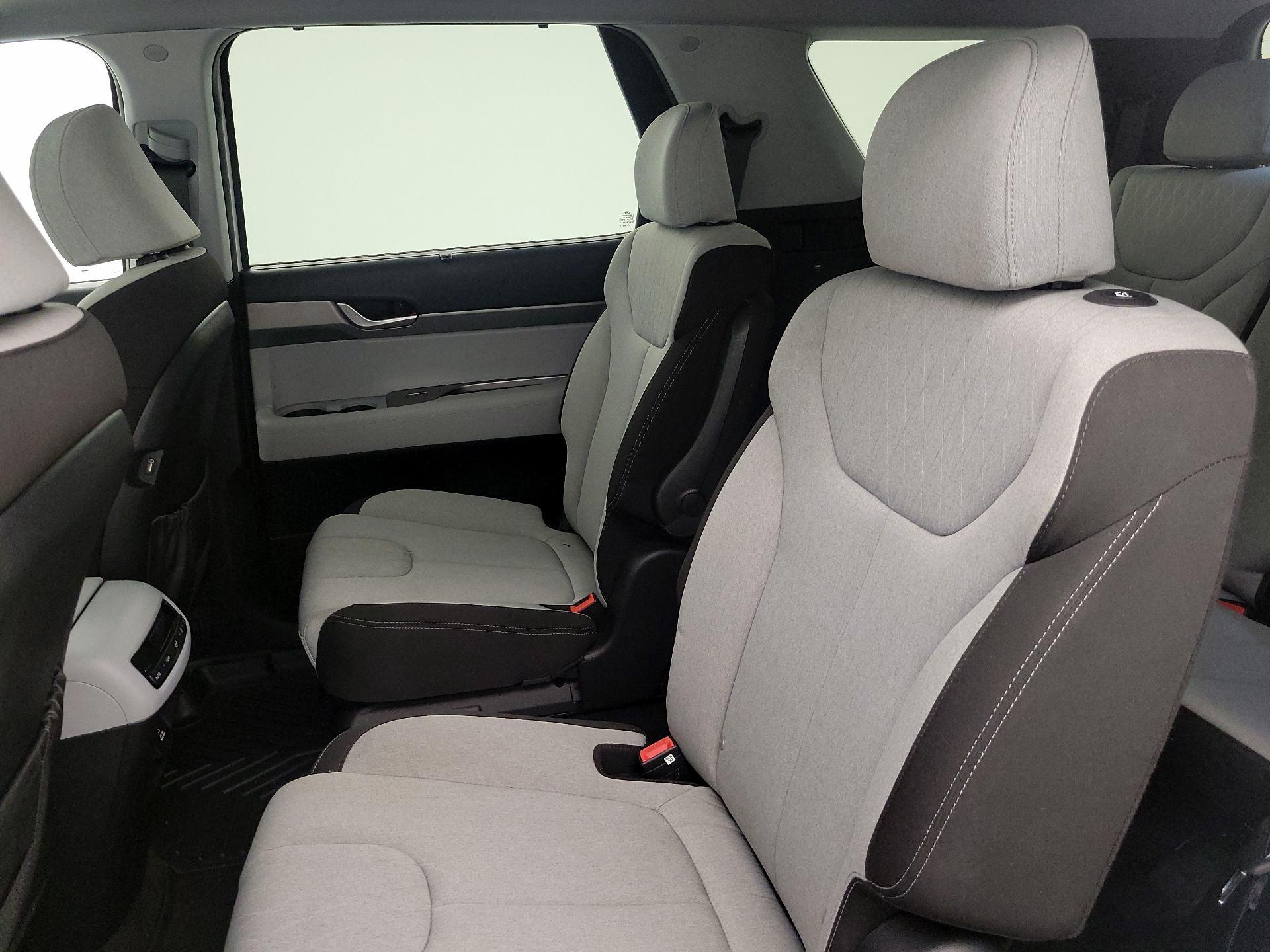 Thumbnail: 2021 Hyundai Palisade - 20