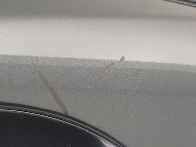 Rear Door Driver Side Cosmetic Imperfection