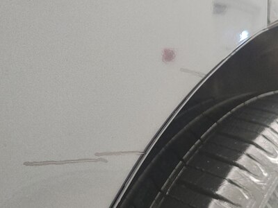 Rear Door Driver Side Cosmetic Imperfection