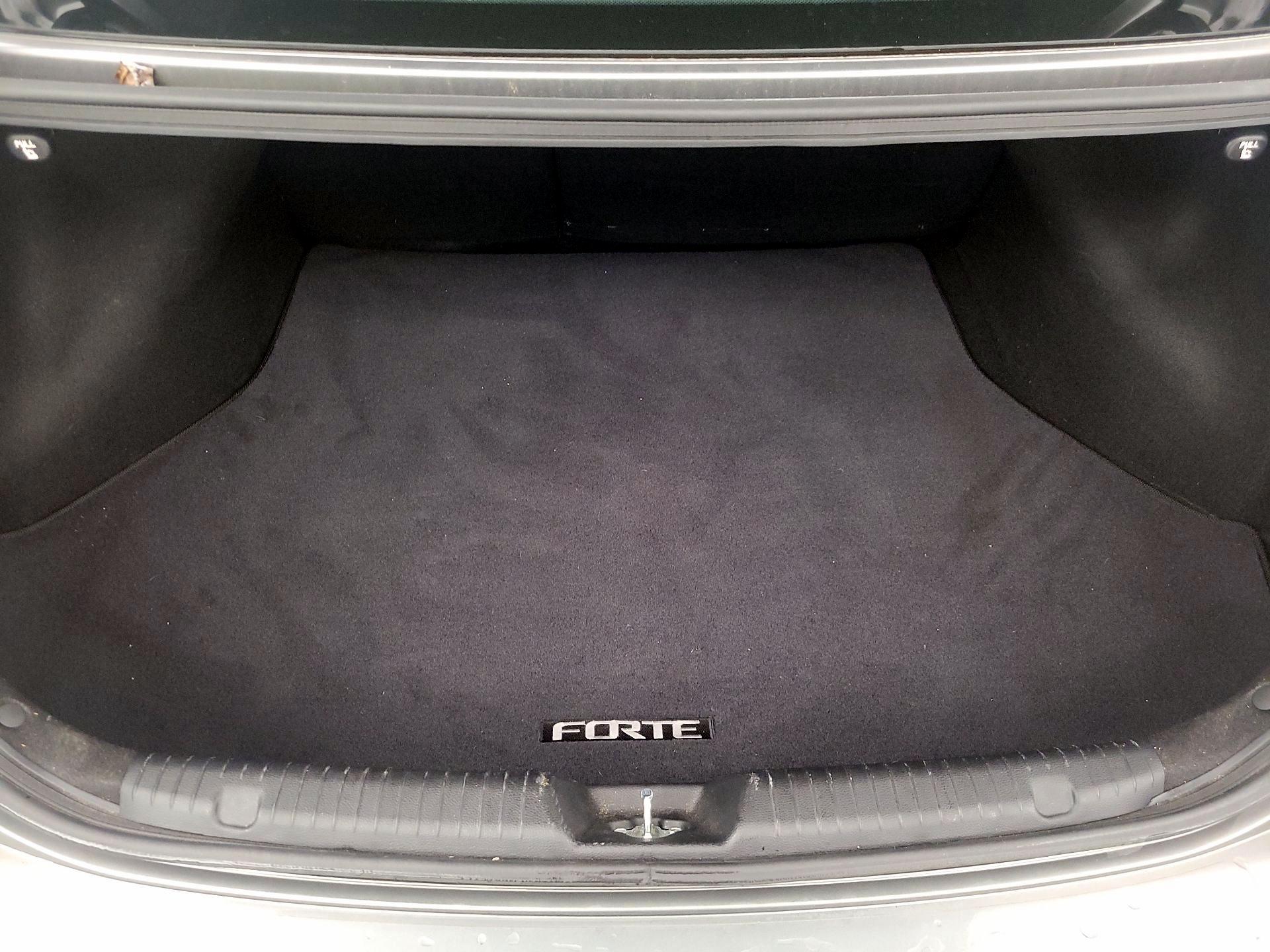 Thumbnail: 2014 Kia Forte - 20