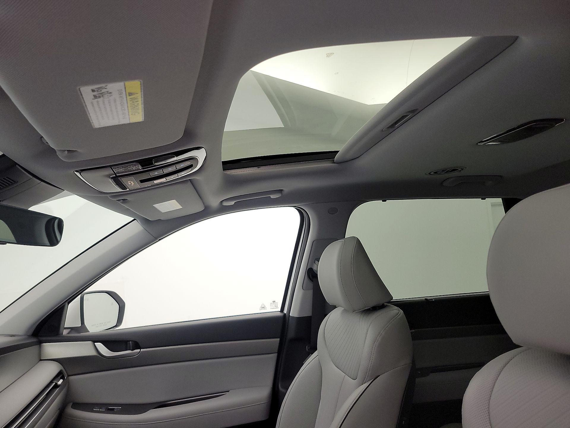 Thumbnail: 2025 Hyundai Palisade - 20