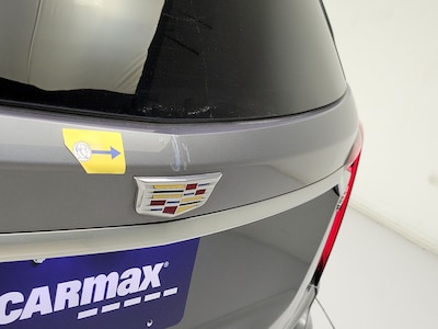 Trunk or Hatch Rear Cosmetic Imperfection