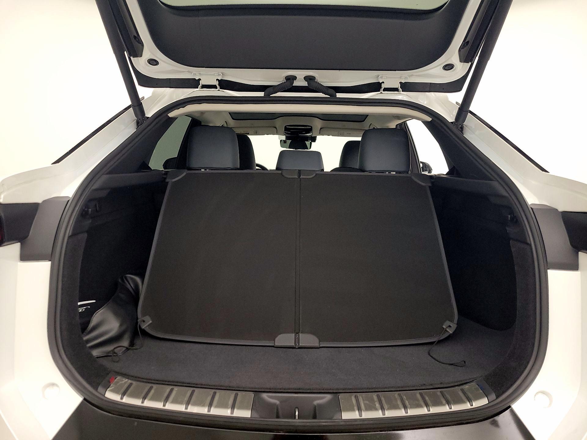 Thumbnail: 2023 Lexus RZ - 20