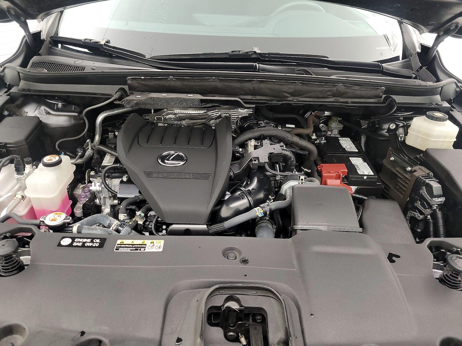 2023 Lexus RX 350 - Photo 23
