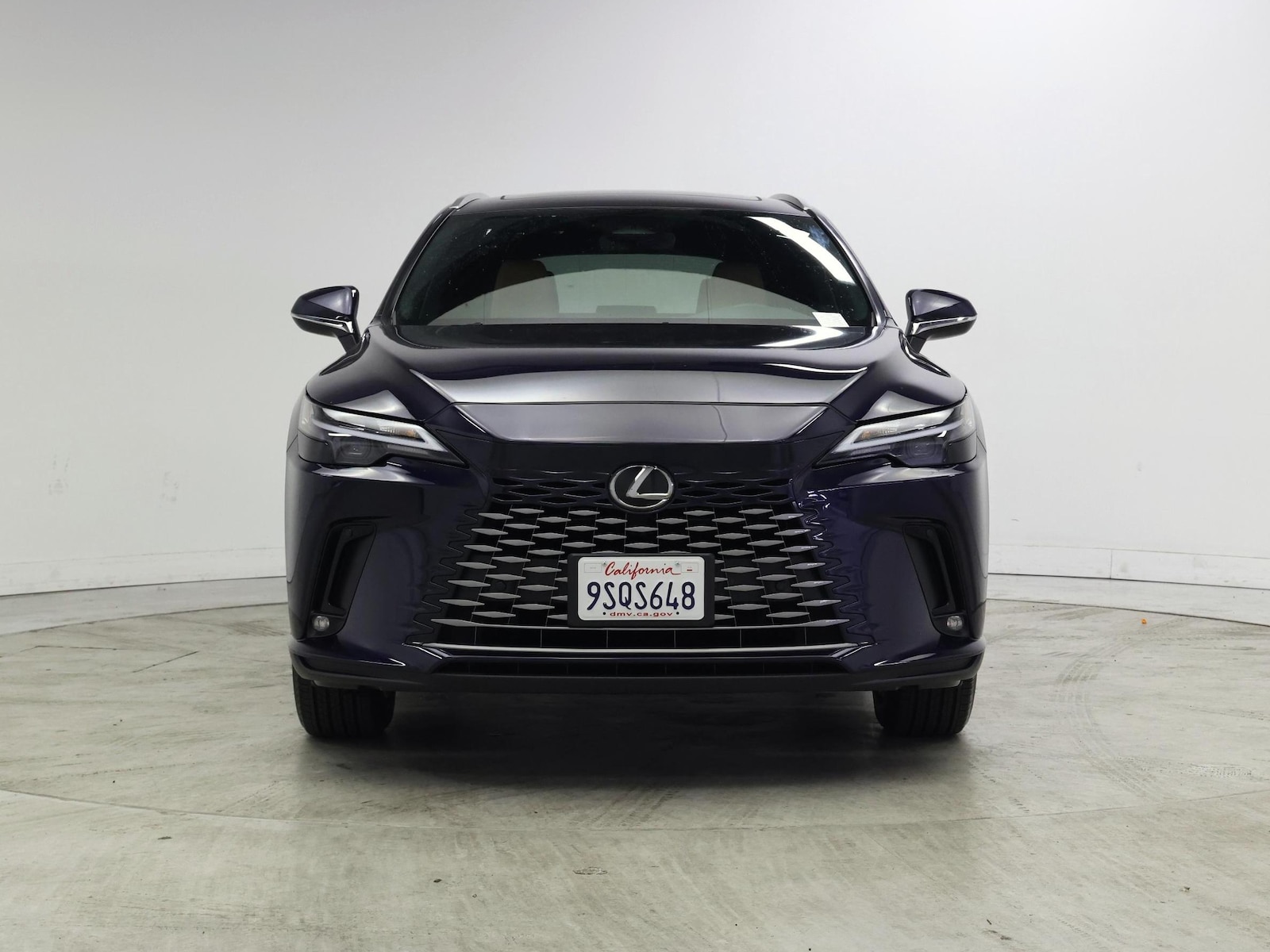 2025 Lexus RX Hybrid 350h - Photo 6