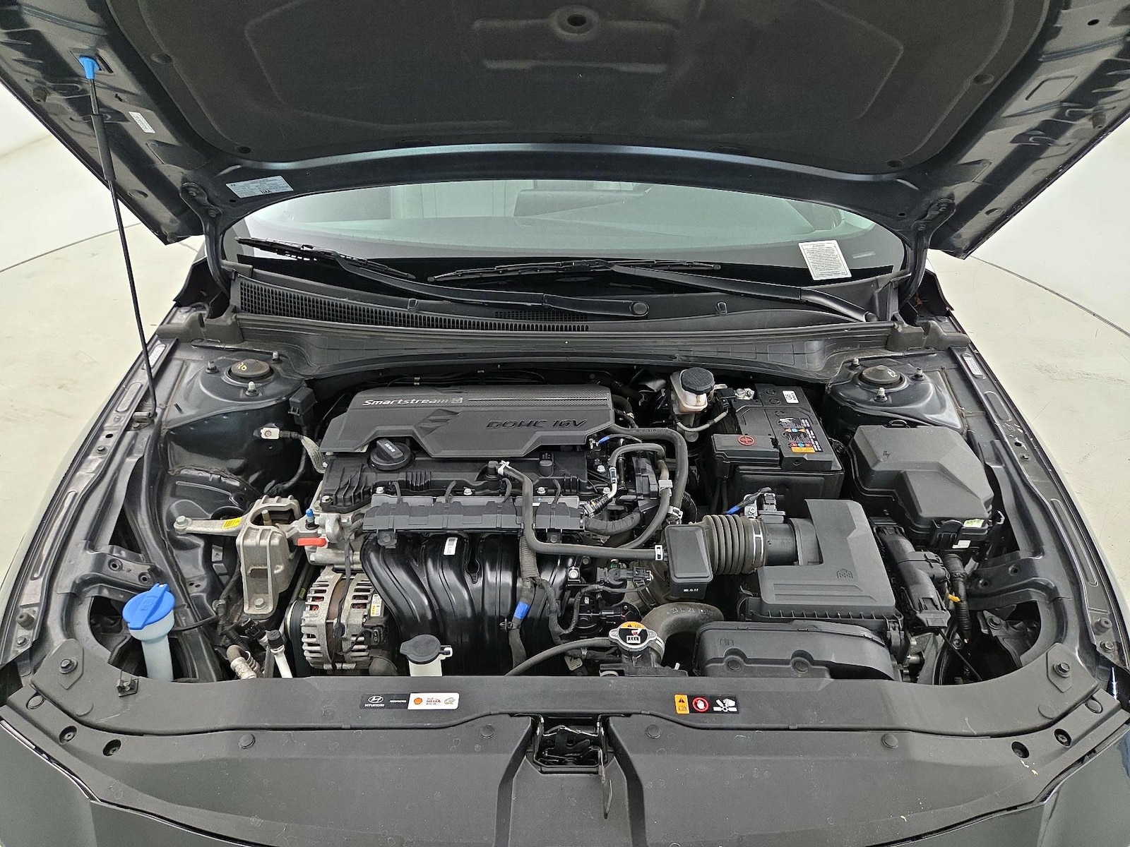 2024 Hyundai Elantra Limited - Photo 24