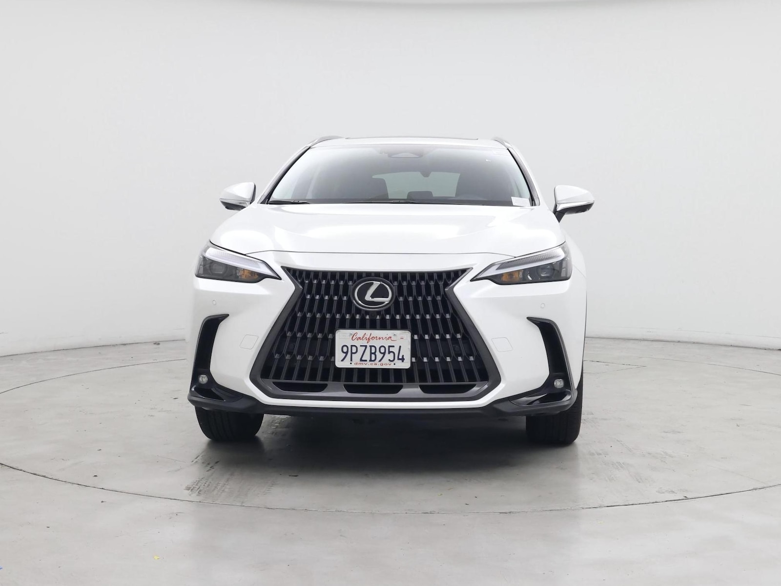 2025 Lexus NX Hybrid 350h - Photo 6