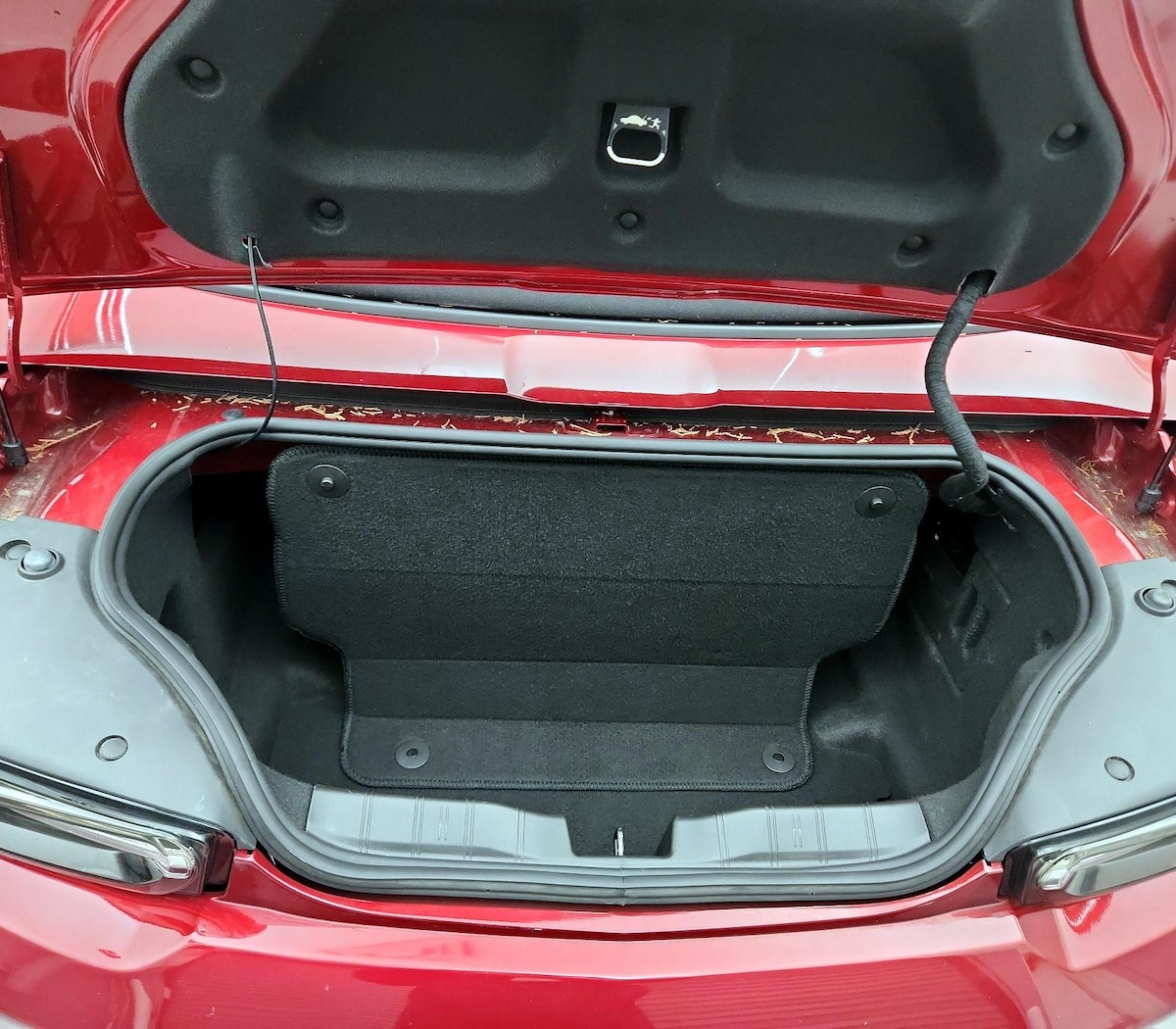 Trunk/Cargo (Seats Up)