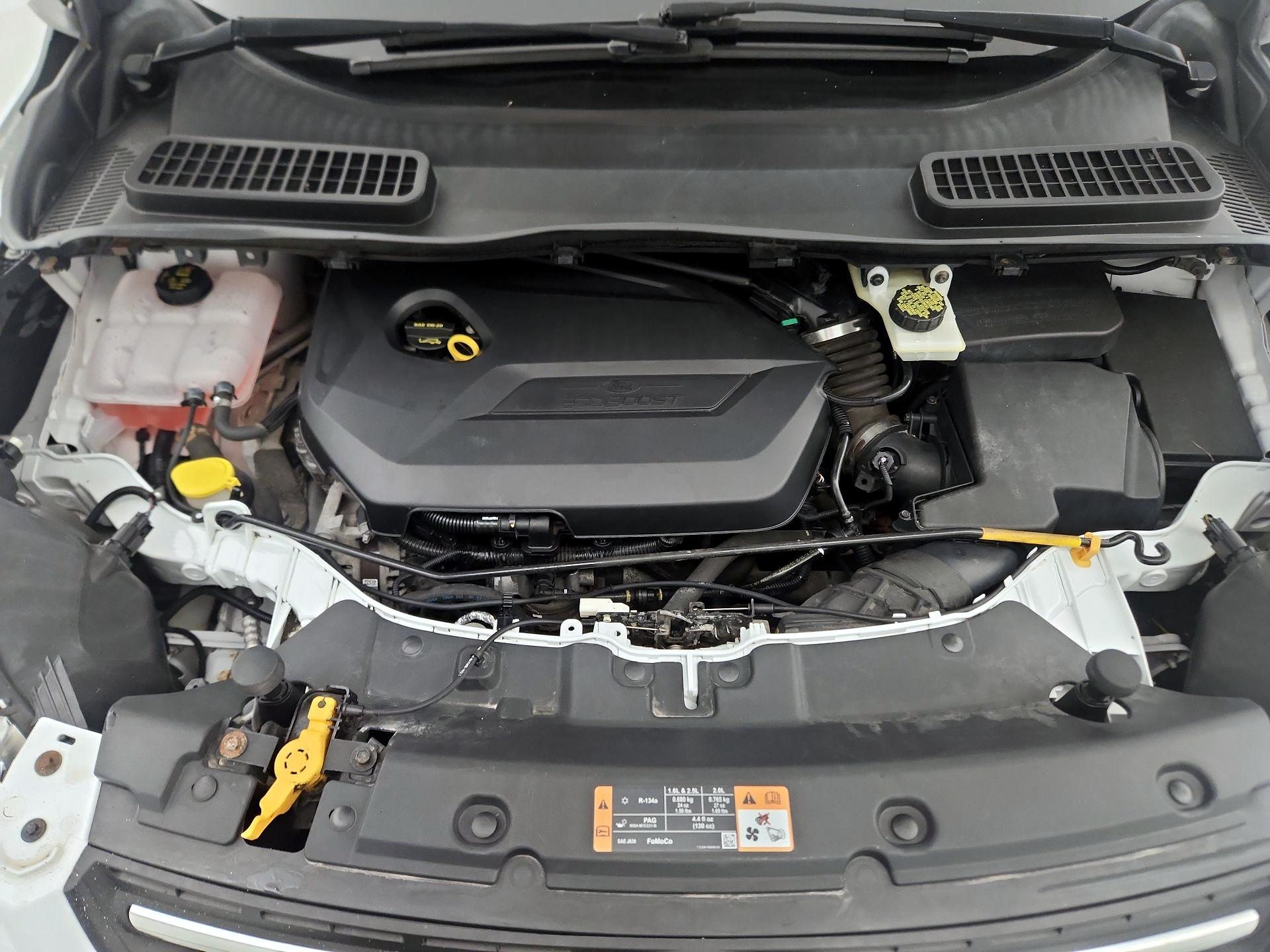 Thumbnail: 2014 Ford Escape - 20