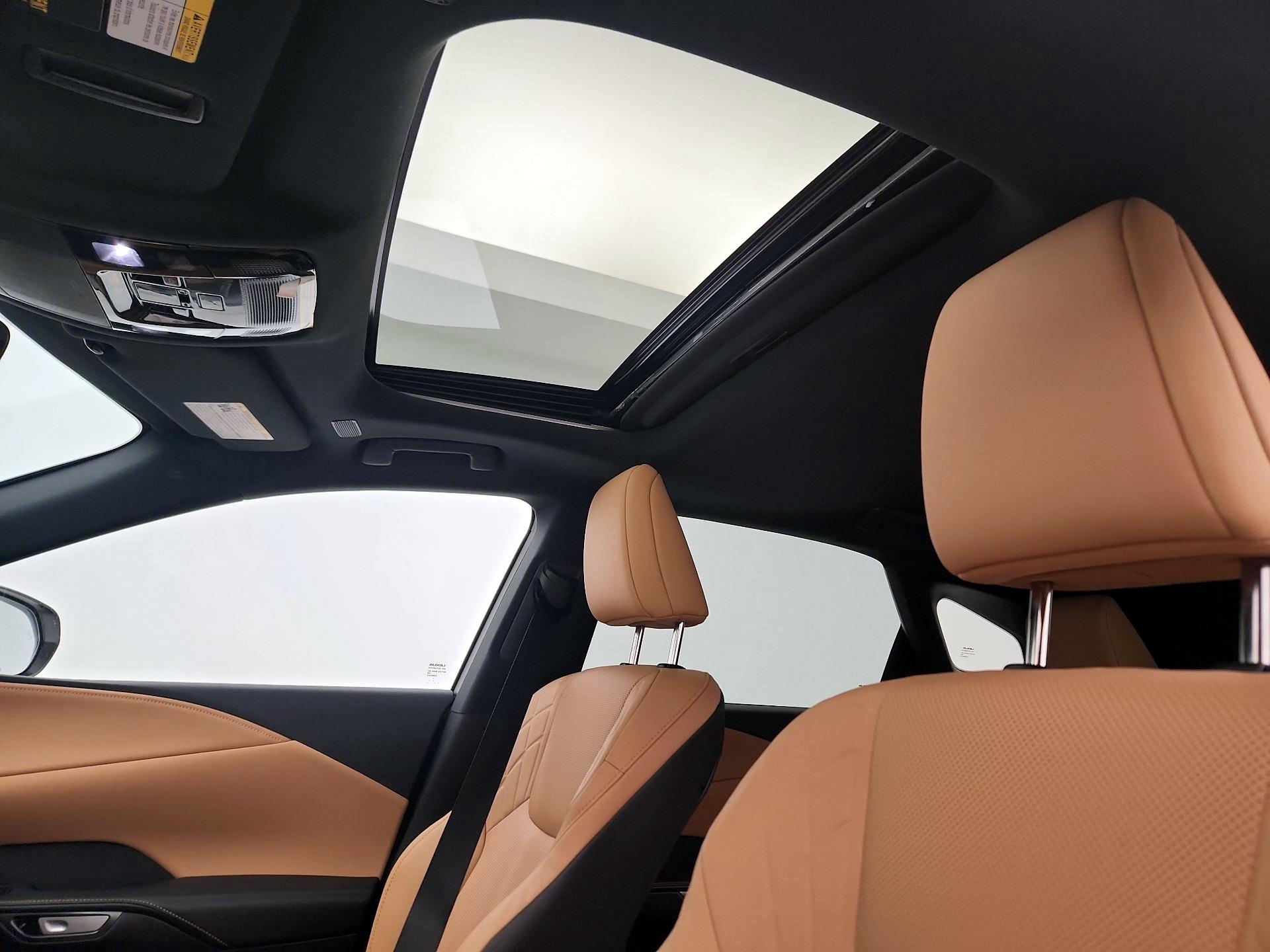 Thumbnail: 2025 Lexus RX - 19