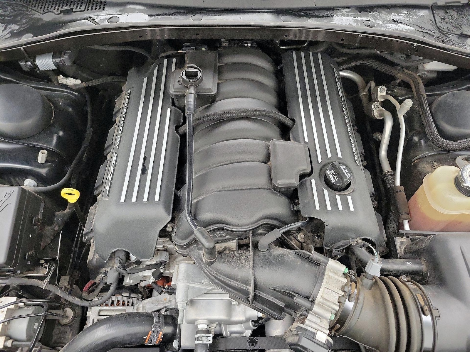 2020 Dodge Charger Scat Pack - Photo 23