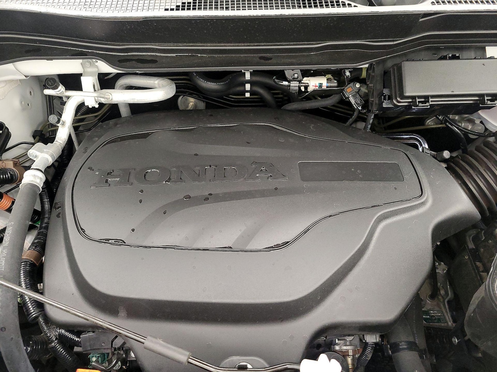 2023 Honda Passport Elite - Photo 22