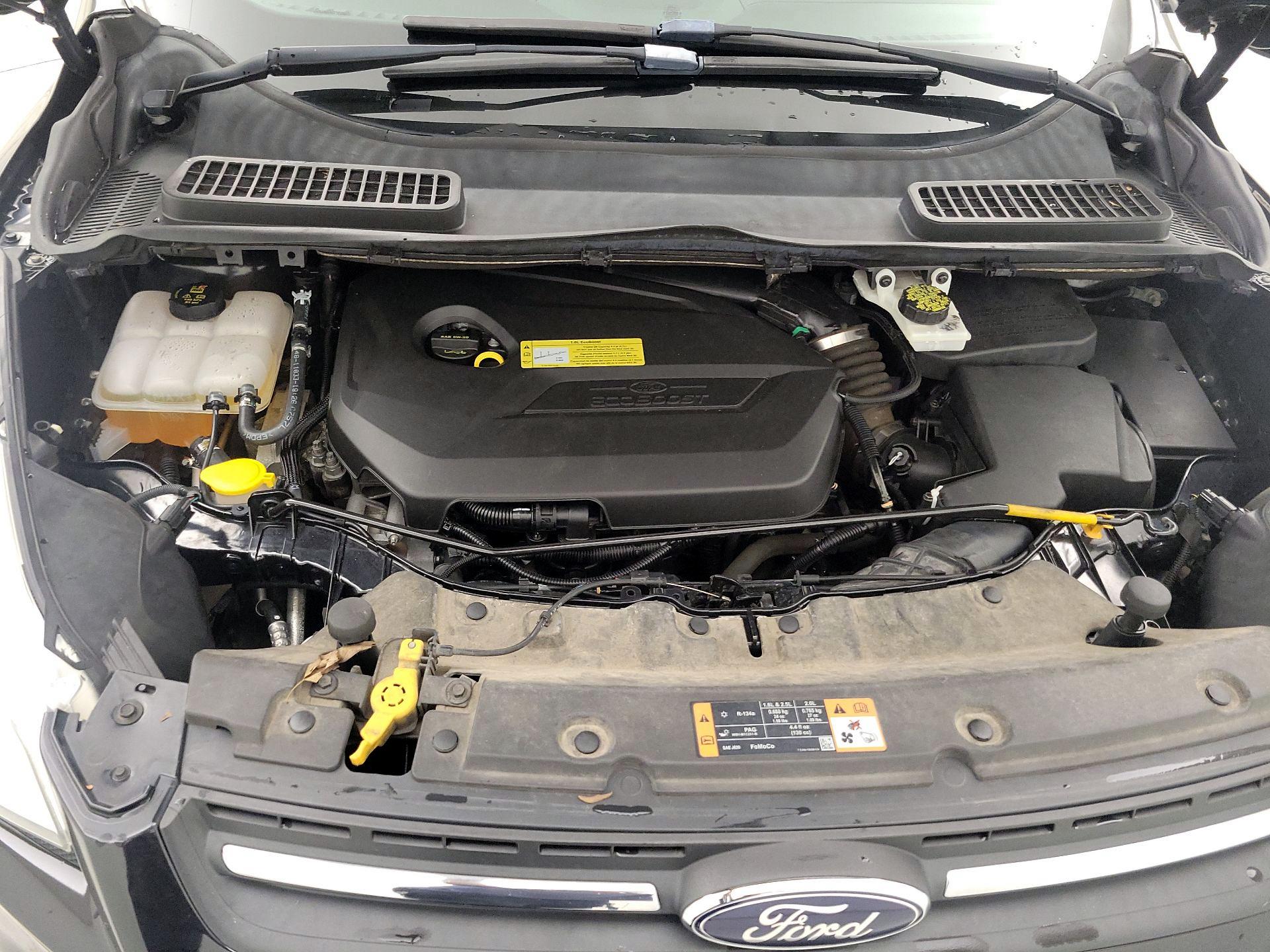 Thumbnail: 2014 Ford Escape - 20
