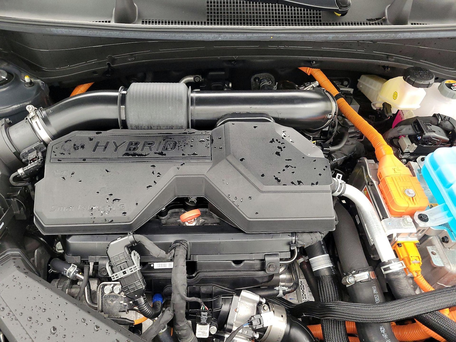 2025 Kia Sportage X-Line - Photo 23