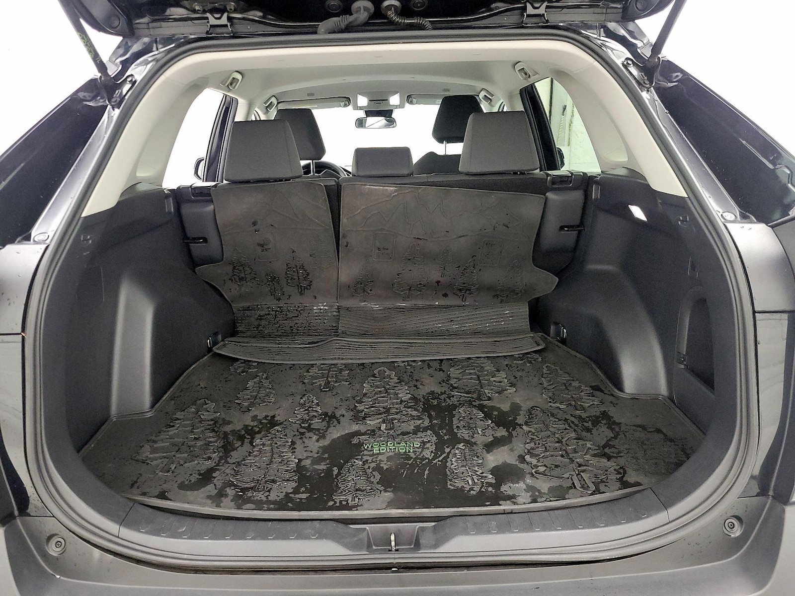 2023 Toyota RAV4 Woodland Edition - Photo 19