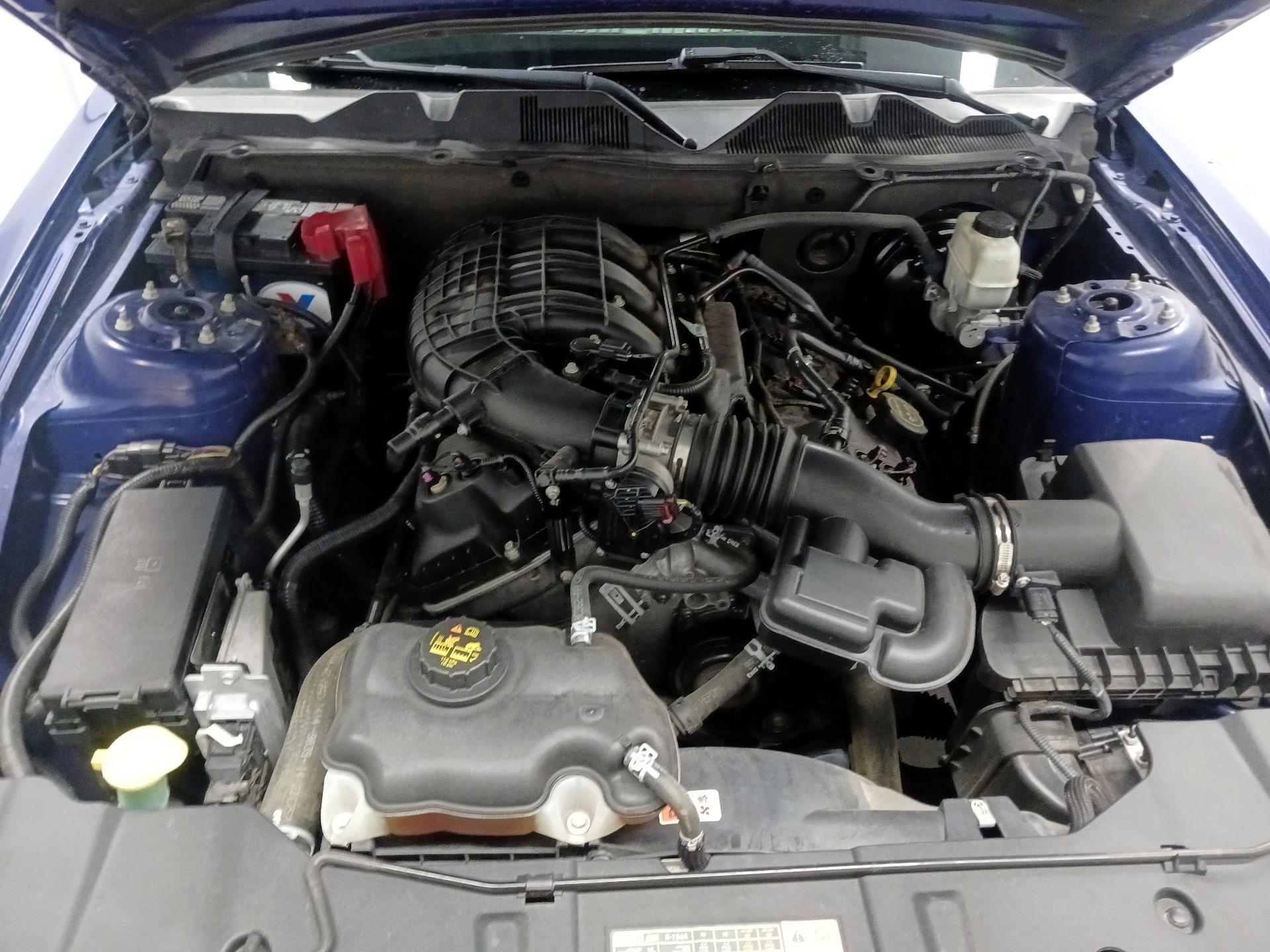 Thumbnail: 2014 Ford Mustang - 18