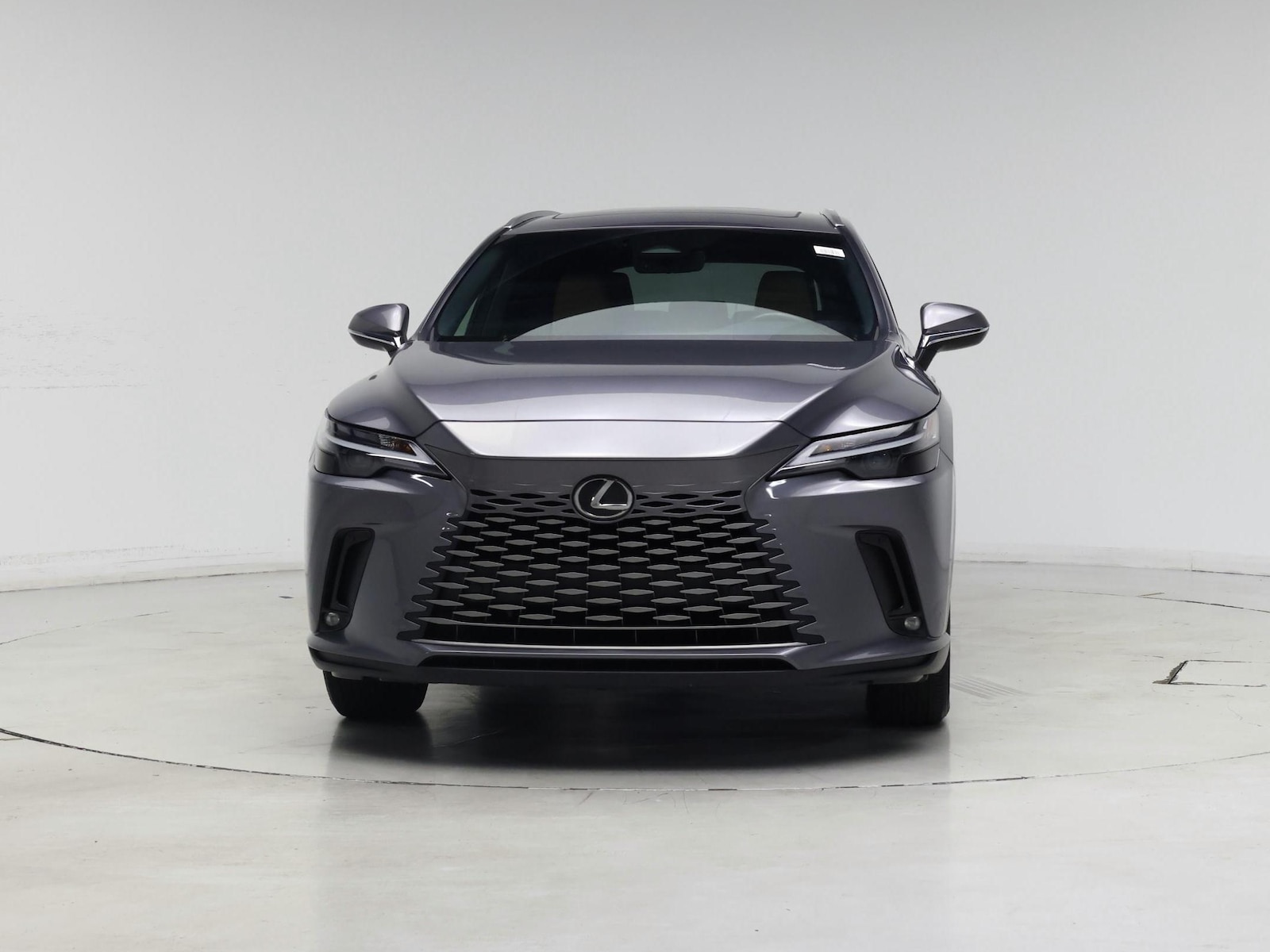 2023 Lexus RX 350 - Photo 6