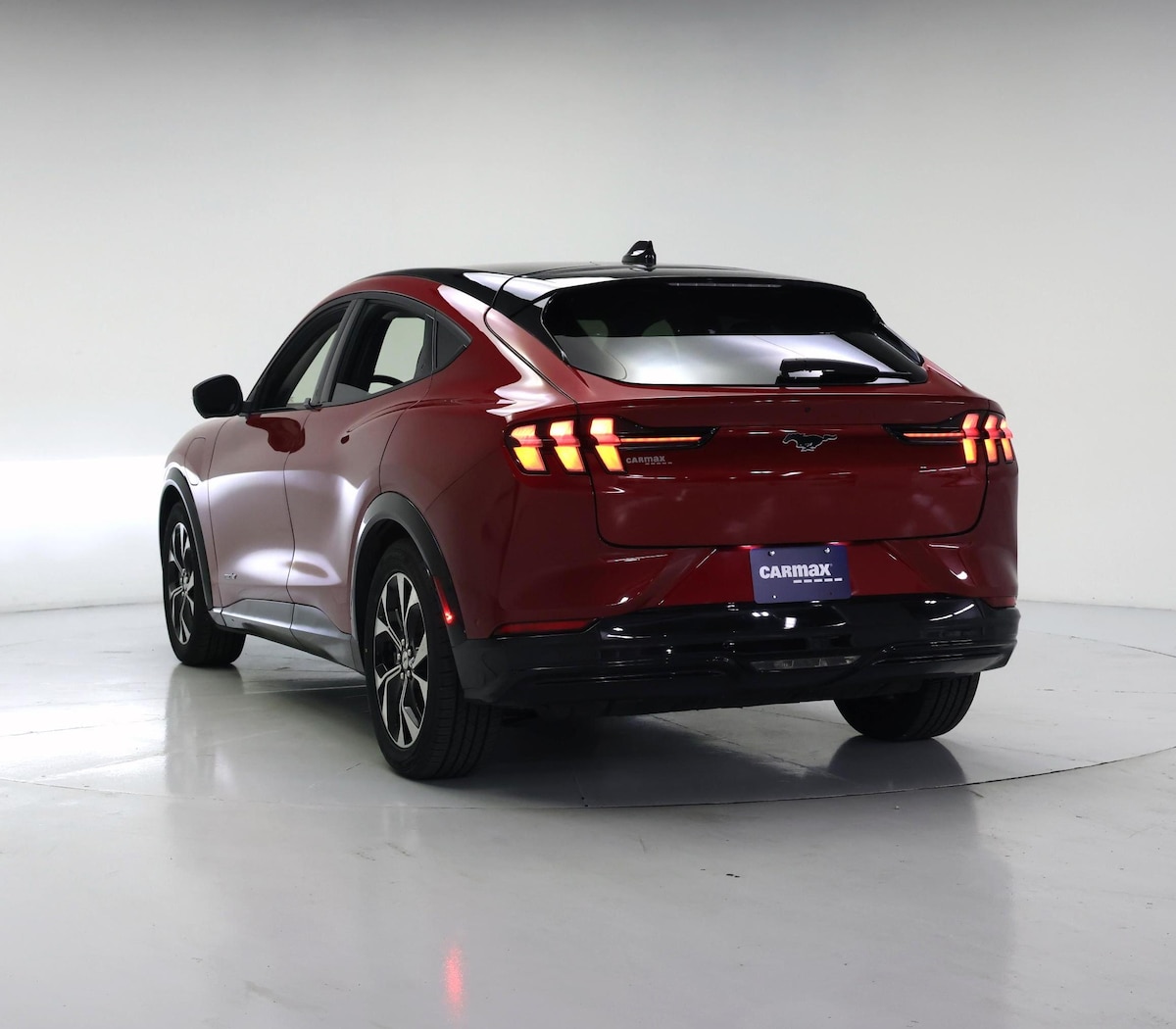 Rear