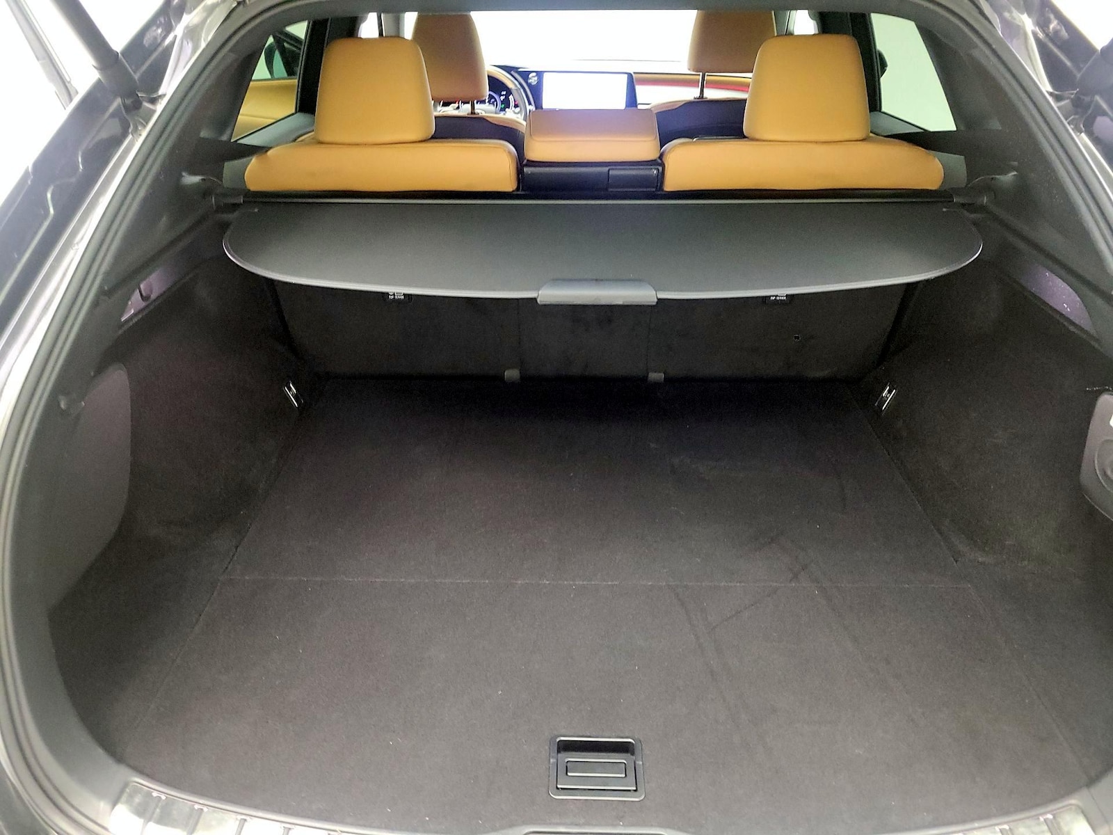 2024 Lexus RX Hybrid 350h - Photo 23