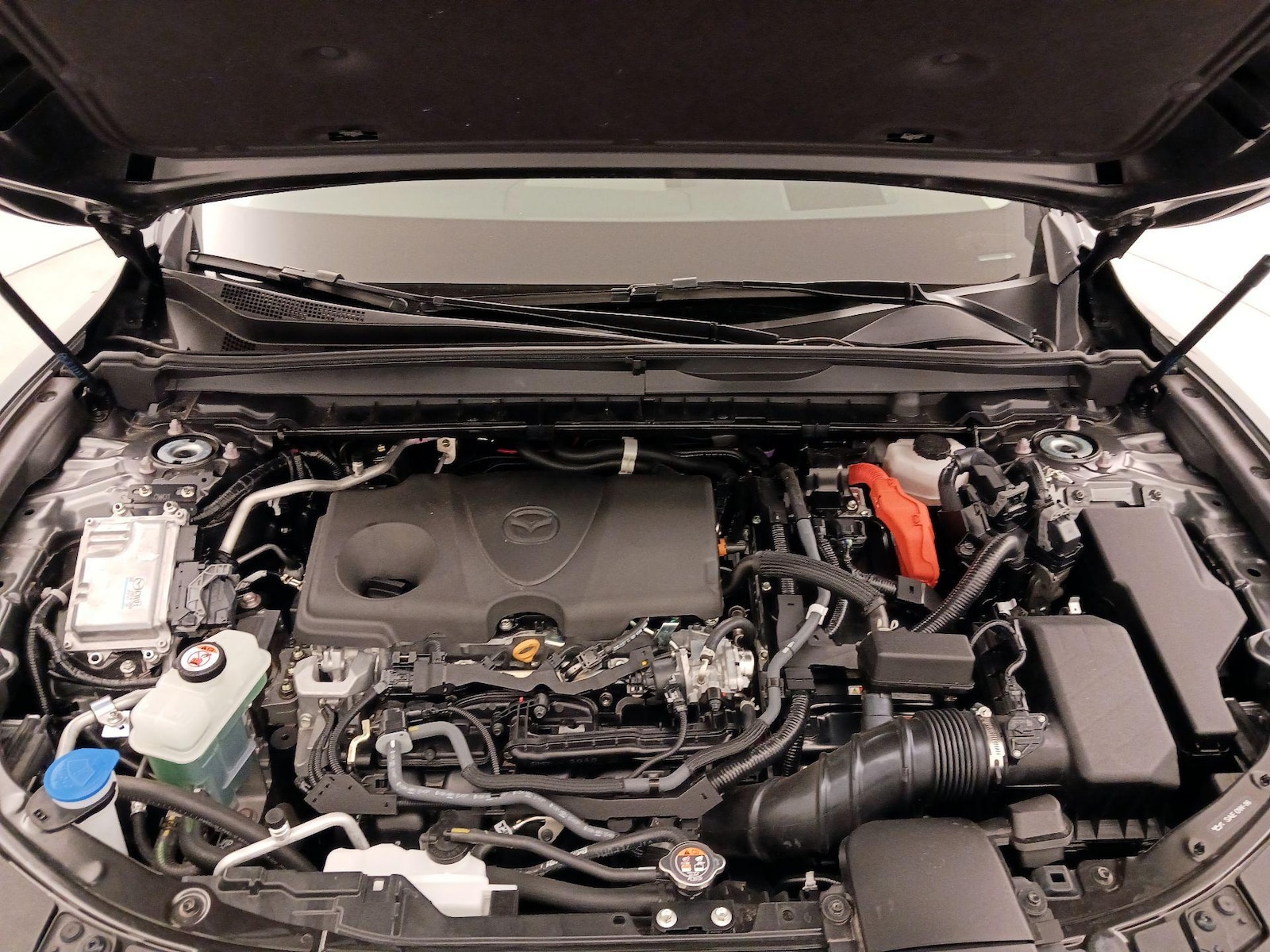 2025 Mazda CX-50 Premium Plus - Photo 23