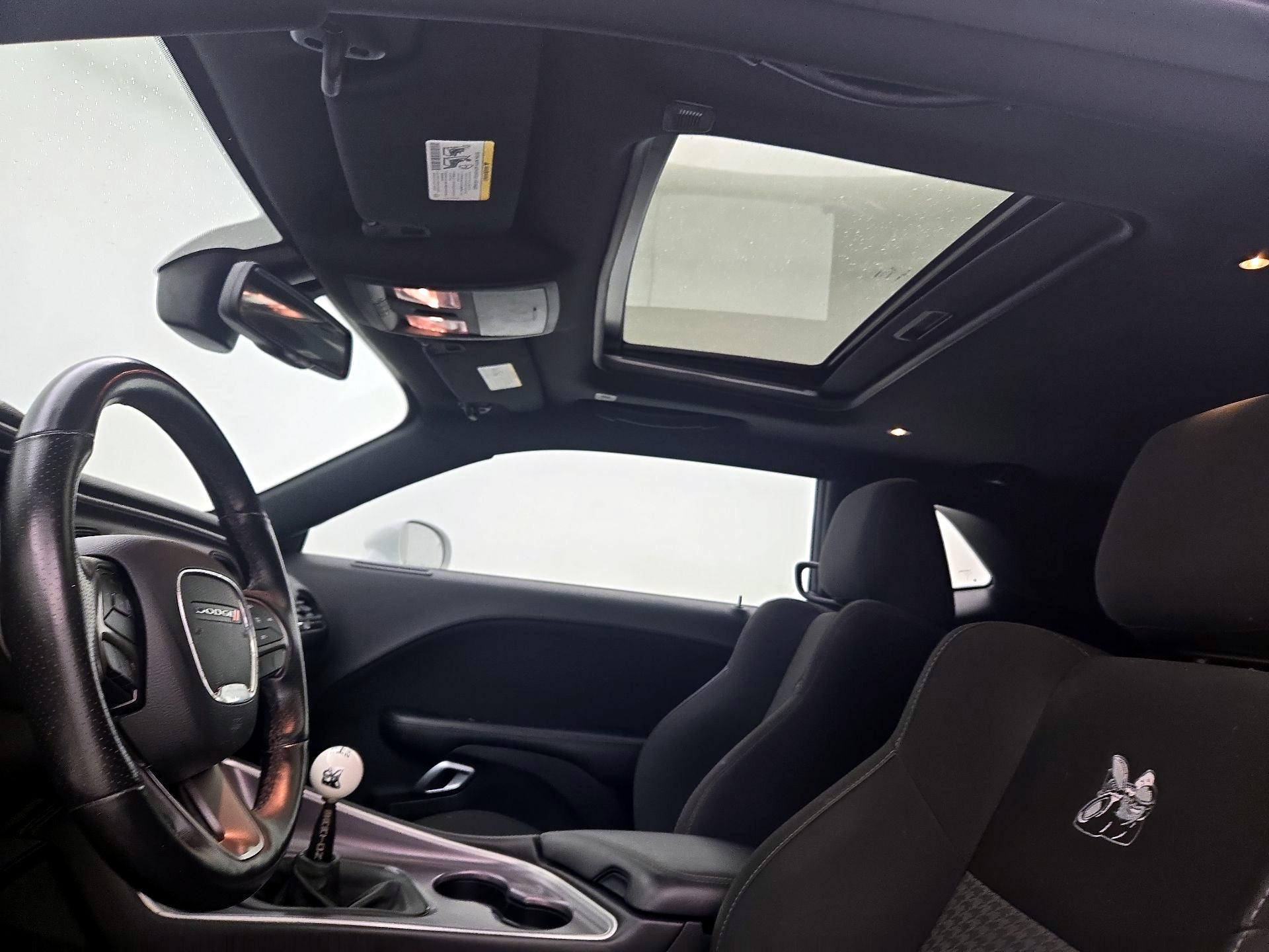 Thumbnail: 2019 Dodge Challenger - 19
