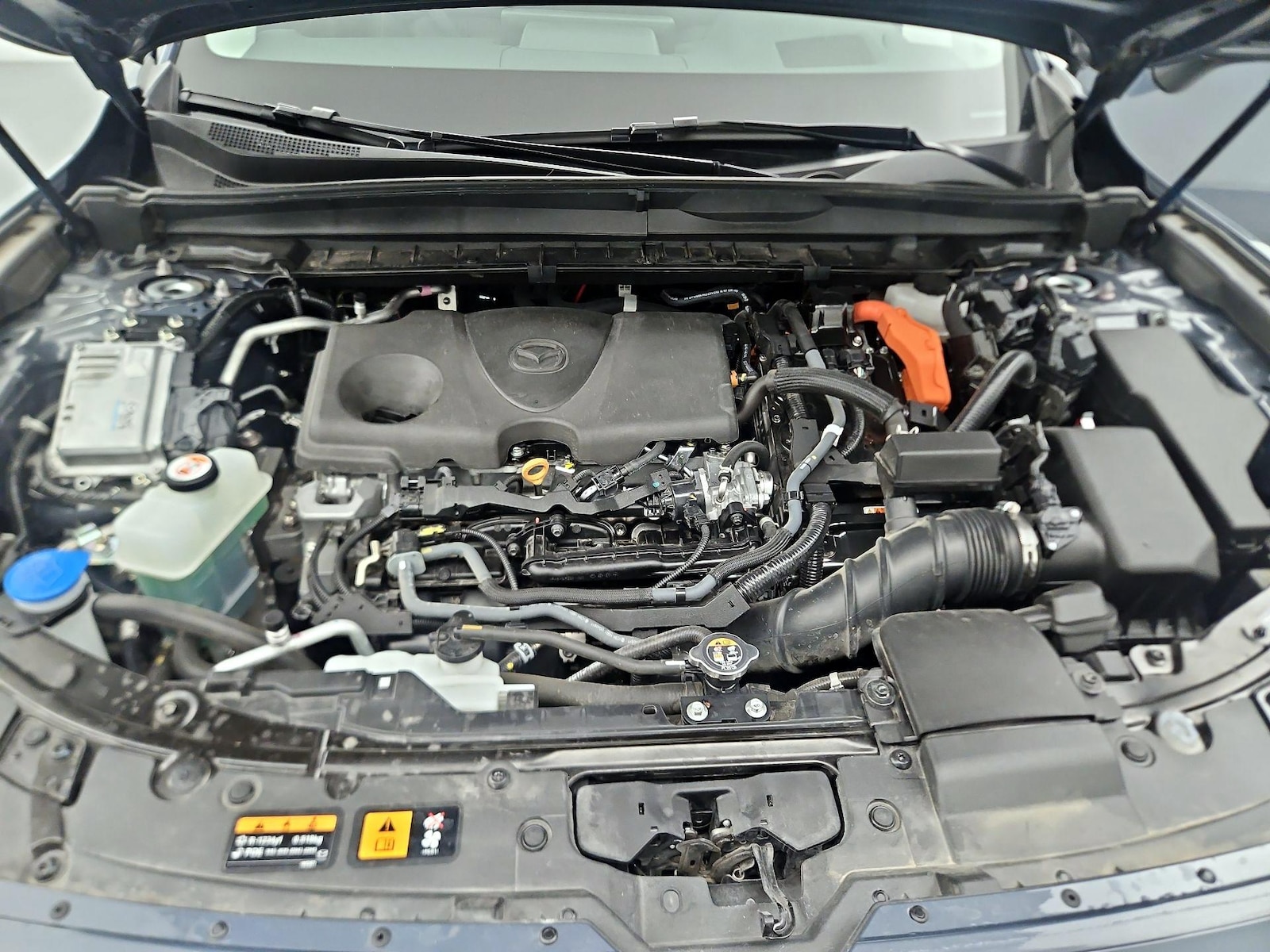 2025 Mazda CX-50 Premium Plus - Photo 23