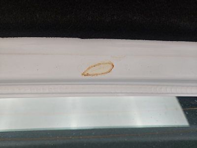 Condition detail