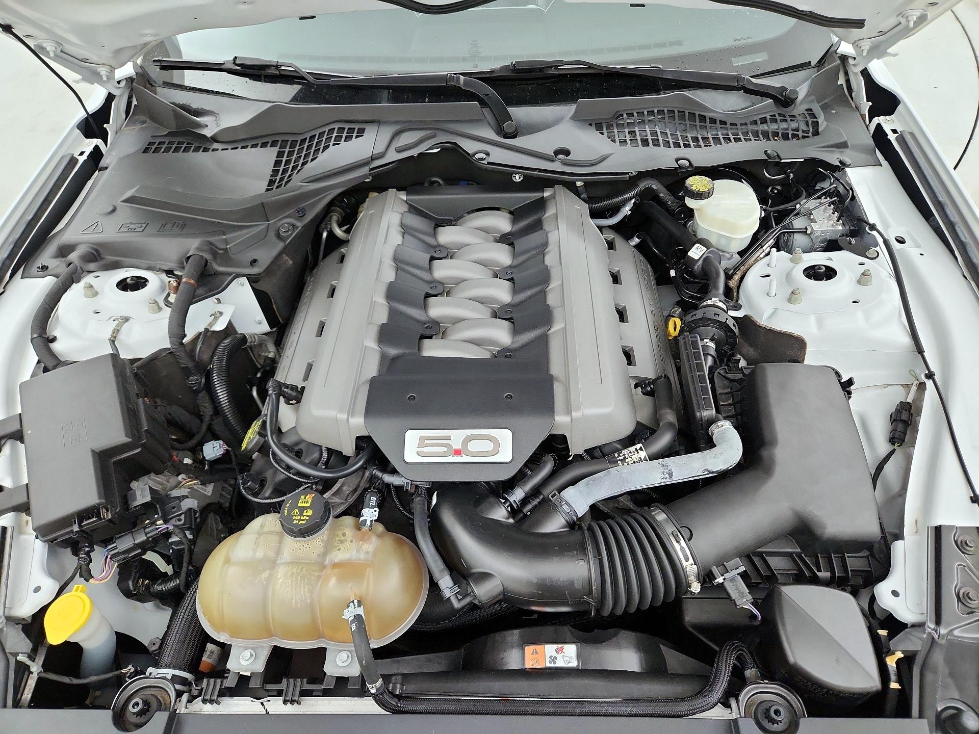 Thumbnail: 2015 Ford Mustang - 18