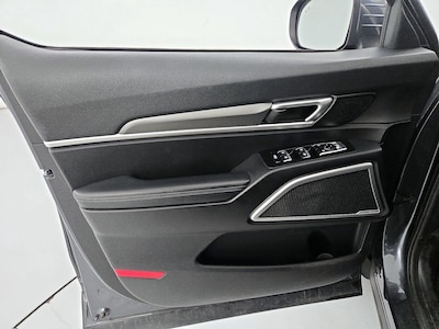 Driver Door Panel