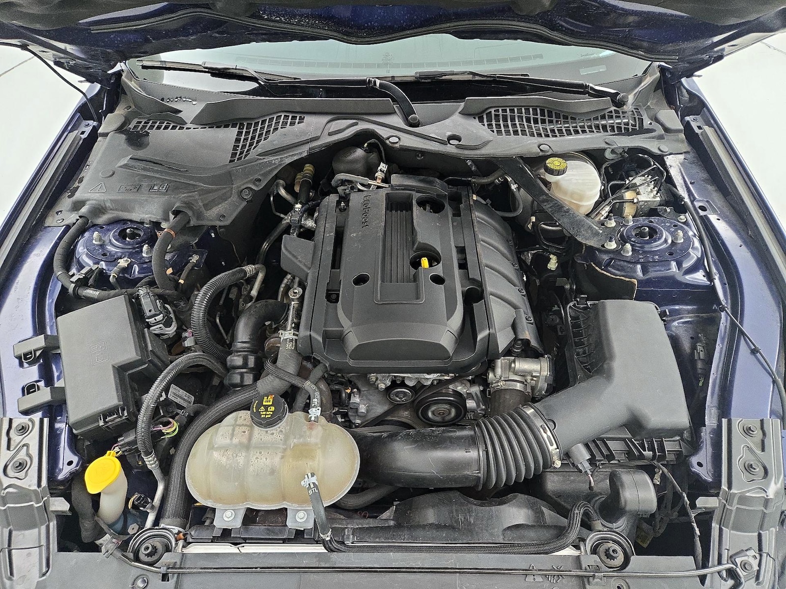 2019 Ford Mustang EcoBoost Premium - Photo 23