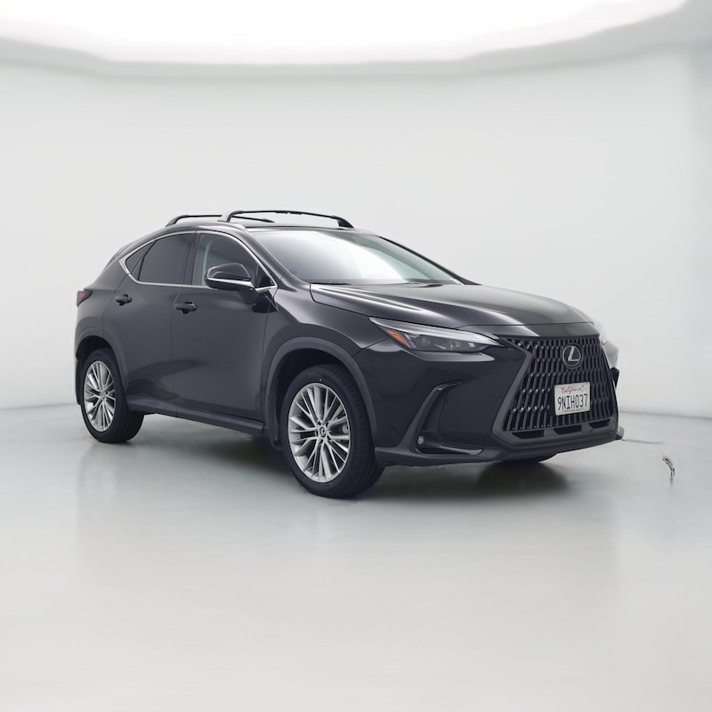 2025 Lexus NX 350h Premium