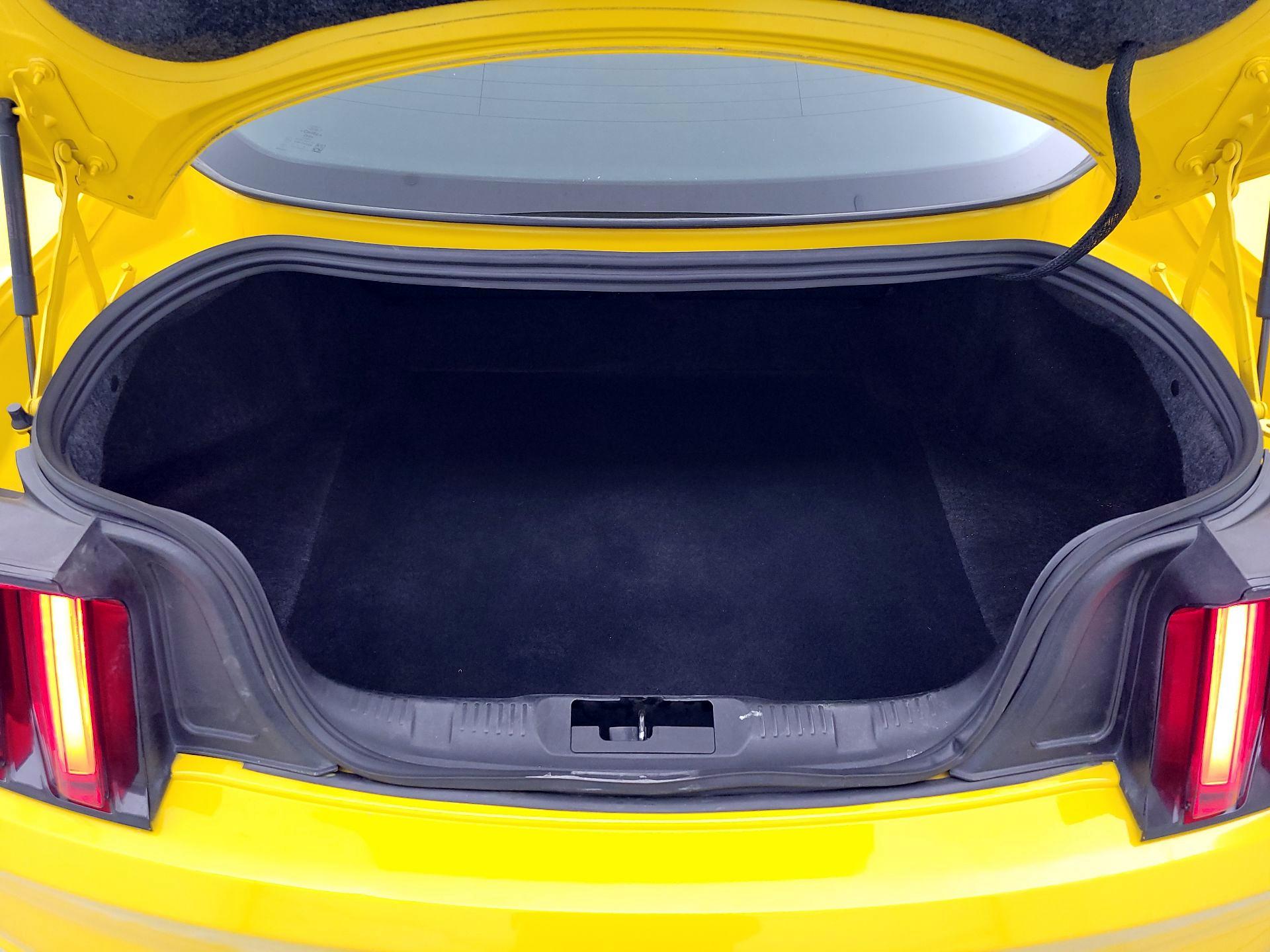 Thumbnail: 2016 Ford Mustang - 20