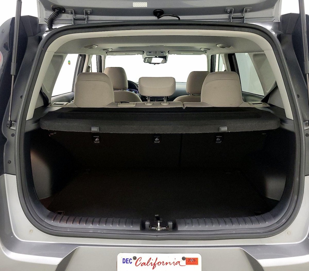 Trunk/Cargo (Seats Up)