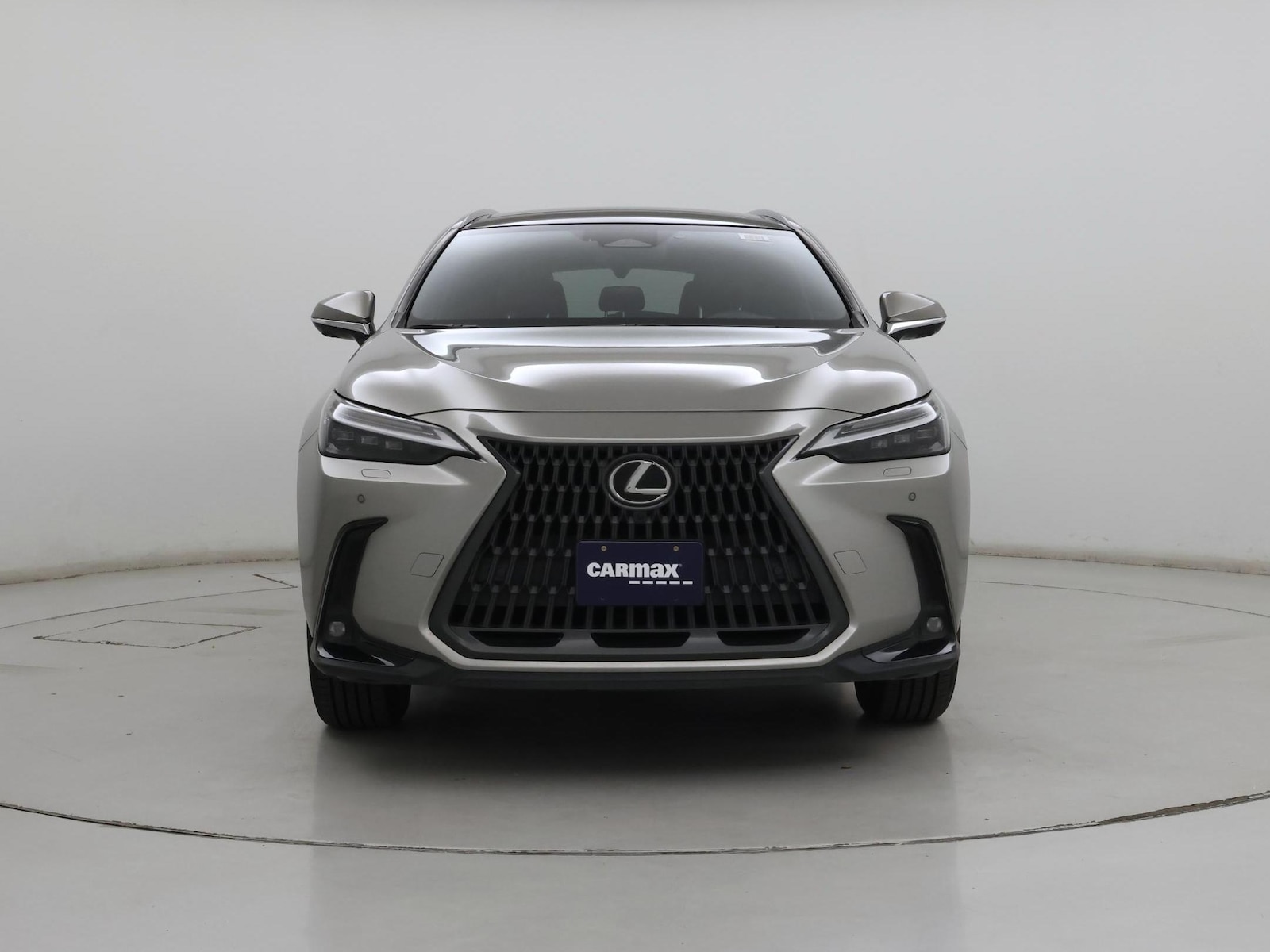 2024 Lexus NX 350 - Photo 6